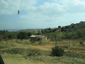 IMG_1802